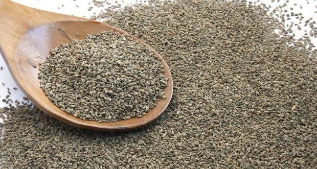 AJWAIN OIL- AJWAIN