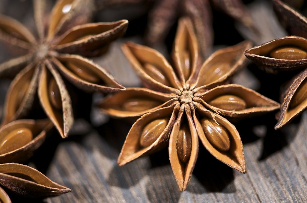 ANISE OIL- ANISEED