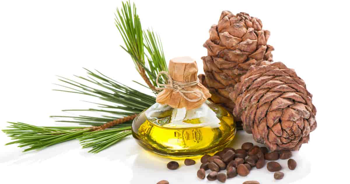 Cedar Oil