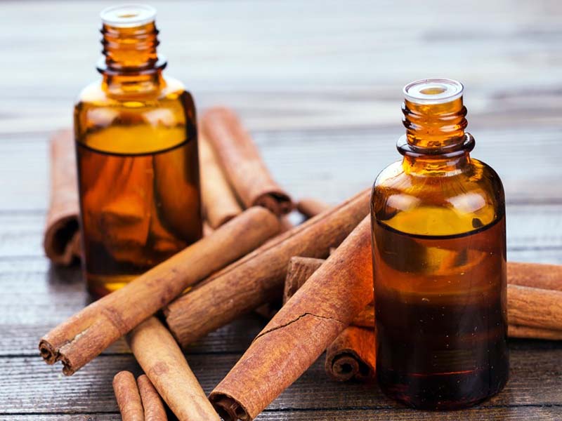 Cinnamon Oil - Essential Oils Ask