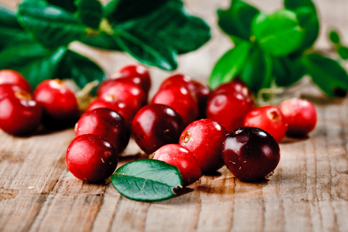 Cranberry Seed Oil