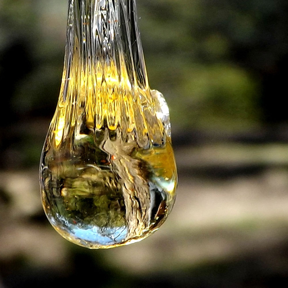 Elemi Oil