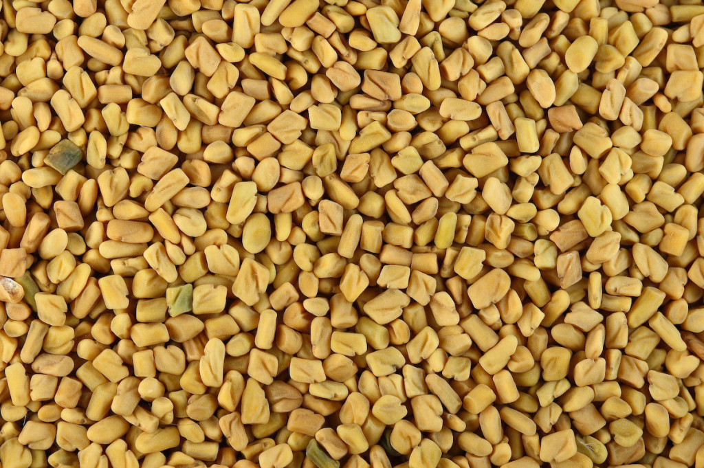 Fenugreek Oil