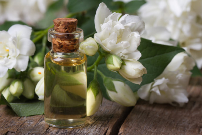 Jasmine oil - Essential Oils Ask