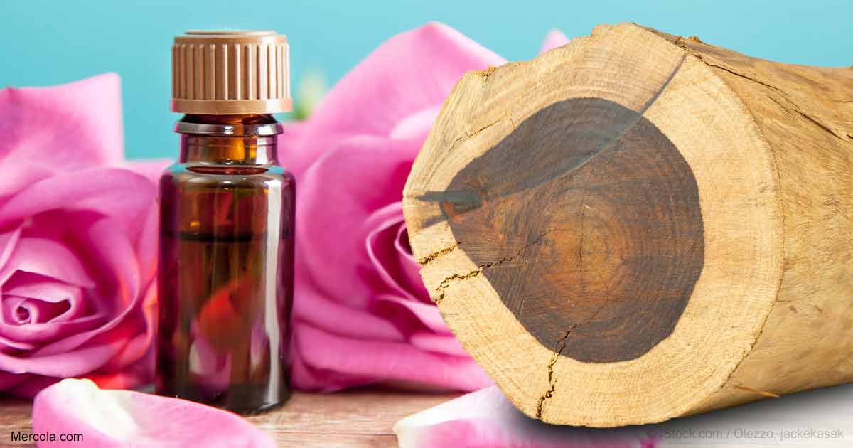 Rosewood Oil
