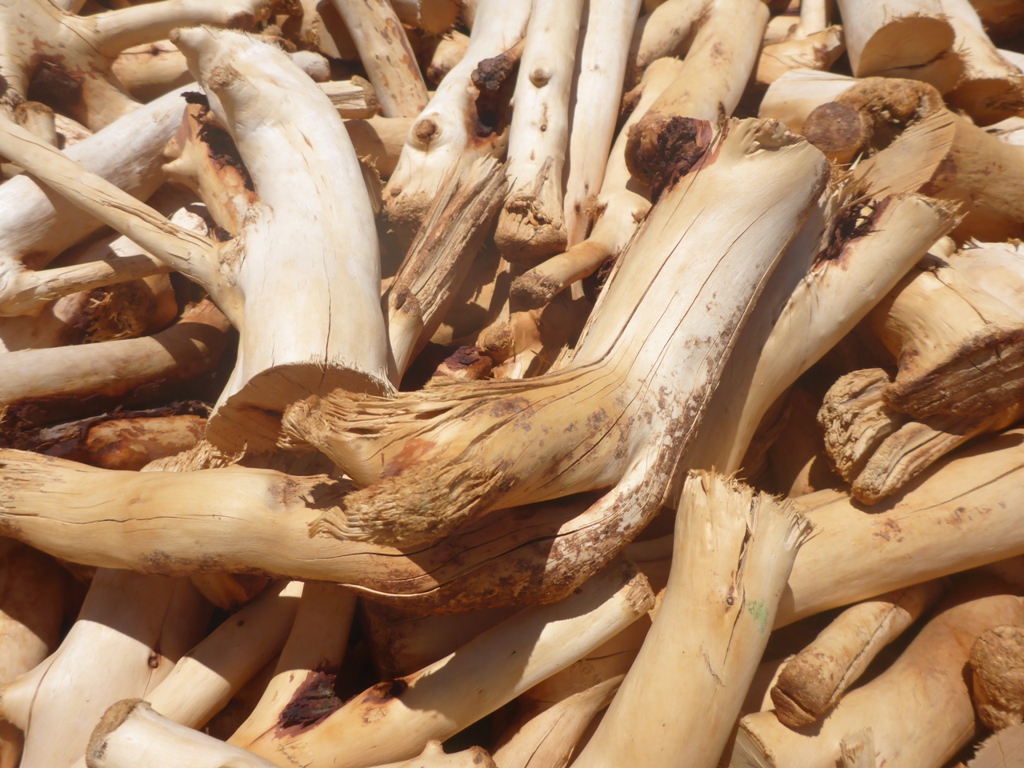 Sandalwood oil
