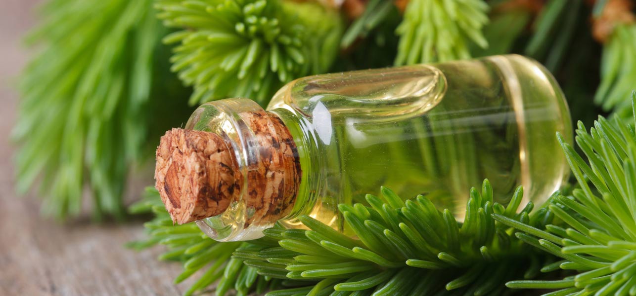 Spruce Oil