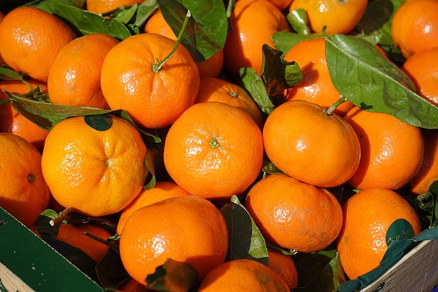 Tangerine Oil