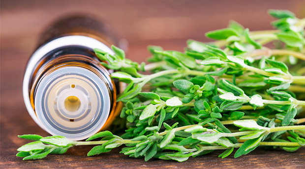 Thyme Oil