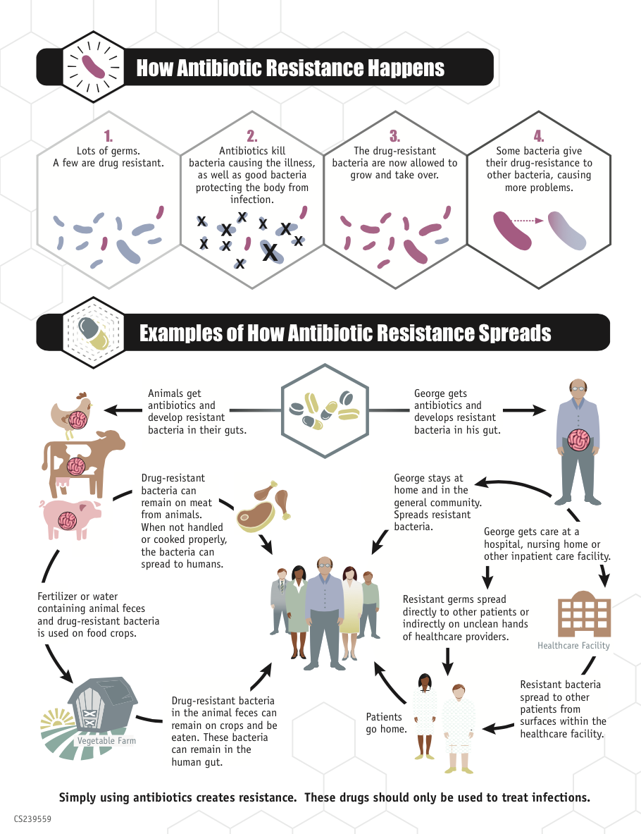 Antibiotic Resistance
