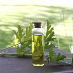 rose-geranium herbal oil